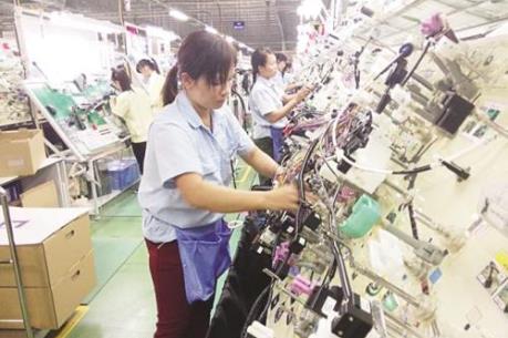 Hanel đưa 19,1 triệu cổ phần lên sàn đấu giá HNX