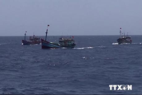 Malaysia bắt giữ 23 ngư dân Việt Nam bị cáo buộc đánh bắt bất hợp pháp