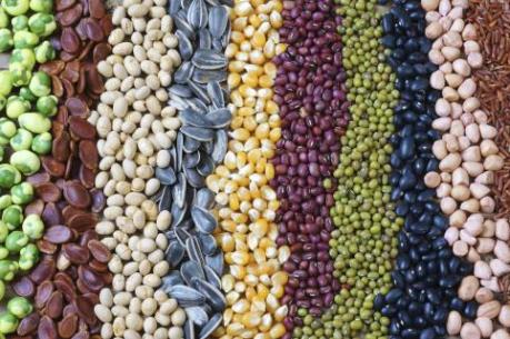 Điểm lại thị trường nông sản Mỹ tuần qua