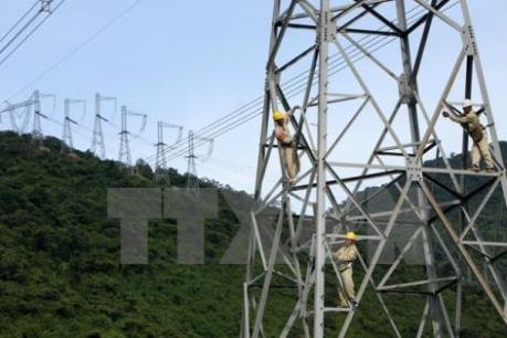 Điện lực miền Nam dồn lực đưa điện về vùng khó khăn