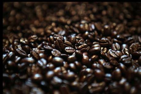 Cuba bác bỏ khả năng xuất khẩu cà phê sang Mỹ