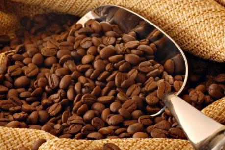 Sản lượng cà phê của Colombia sụt giảm do hạn hán
