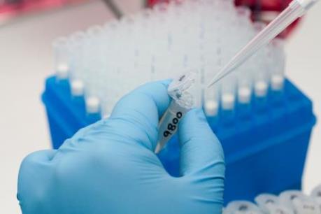 Brazil thử nghiệm loại vi khuẩn có thể kiềm chế virus Zika