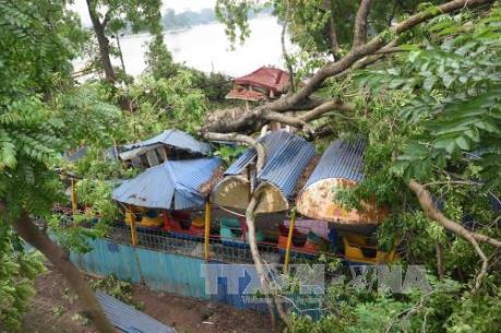 Dự báo thời tiết 10 ngày tới: Đề phòng mưa dông, gió giật mạnh