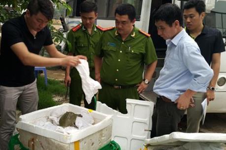 Bắt giữ hơn 200 kg ba ba cùng nhiều hàng hóa Trung Quốc nhập lậu