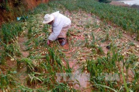 Dự báo thời tiết 10 ngày tới: Đề phòng tố, lốc, mưa đá tại một số nơi