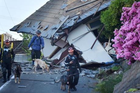 Động đất tại Nhật Bản: Mở 3 đường dây nóng nhận thông tin về người Việt