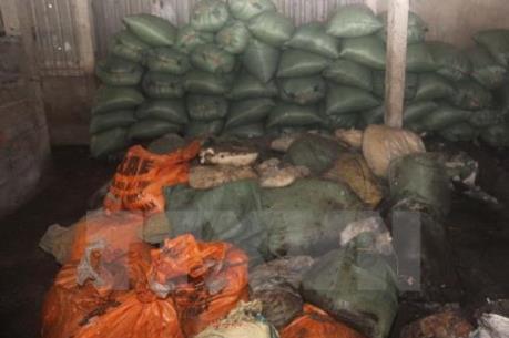 Bắt giữ xe ô tô chở 13 tấn mỡ động vật không rõ nguồn gốc