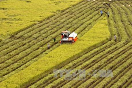 Nông nghiệp Việt Nam sẽ được hưởng lợi từ TPP