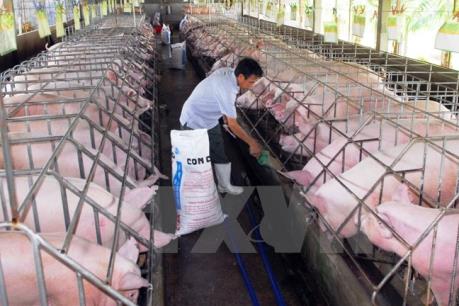 Xử lý hình sự nếu buôn bán, sử dụng chất cấm và kháng sinh trong trồng trọt, chăn nuôi