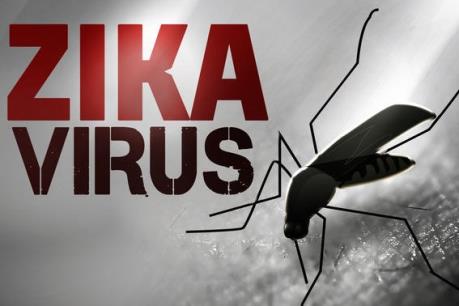Khánh Hòa công bố hết dịch bệnh do vi rút Zika