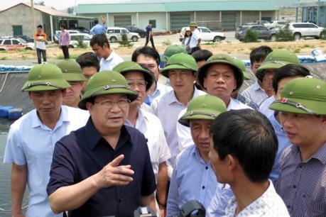 Phó Thủ tướng Trịnh Đình Dũng chỉ đạo hỗ trợ người dân thiệt hại do cá chết hàng loạt