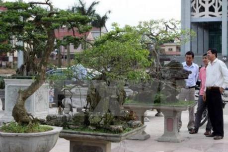 Festival Sinh vật cảnh lần đầu tiên được tổ chức tại Hà Nội 