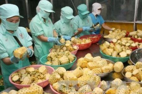 Điều kiện bảo đảm an toàn trong sản xuất thực phẩm bảo vệ sức khỏe