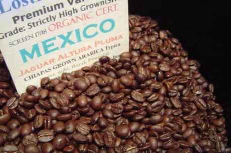 Sản lượng cà phê Mexico dự báo ở mức "đáy" của 40 năm