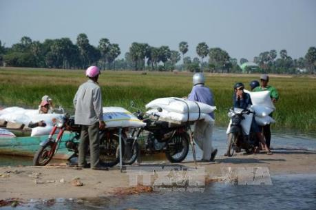Tp. Hồ Chí Minh thu giữ 30 tấn đường lậu