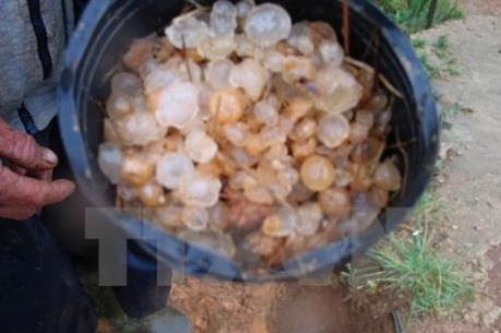 Dự báo thời tiết 28/4: Nhiều khu vực có khả năng xảy ra tố lốc và mưa đá