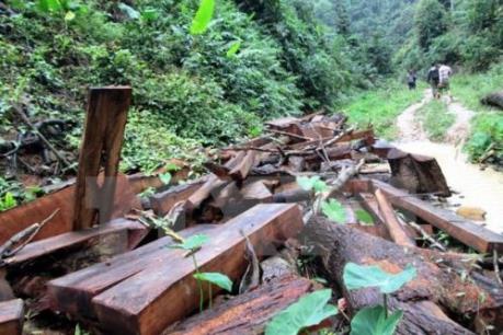 Bắc Kạn: Không có chuyện hai cán bộ Kiểm lâm bị lâm tặc tấn công