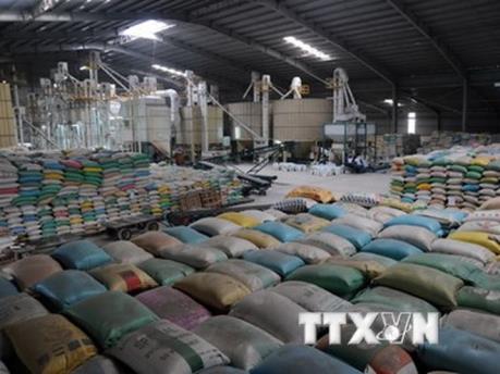 Thái Lan xả gạo tồn kho: Bộ Công Thương chính thức lên tiếng