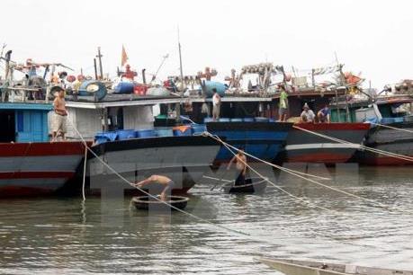 Tháo gỡ khó khăn cho ngư dân ven biển và đầm phá