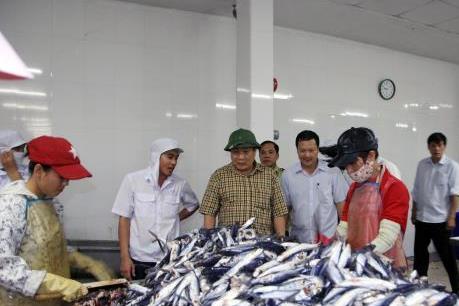 Hỗ trợ ngư dân Quảng Trị tiếp tục vươn khơi bám biển