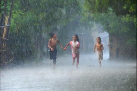 Những cơn mưa “vàng” đã rơi