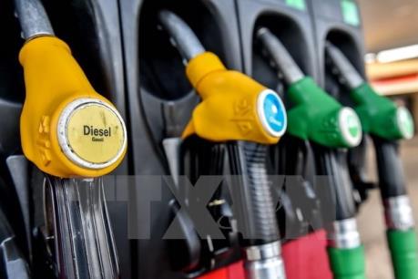 Thấm đòn vì giá dầu giảm, Saudi Arabia đẩy mạnh cải cách kinh tế