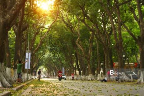 Dự báo thời tiết tuần này: Nắng nóng tiếp diễn trong những ngày đầu tuần