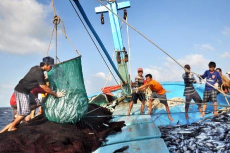 BIDV triển khai gói tín dụng 1.500 tỷ đồng hỗ trợ ngư dân