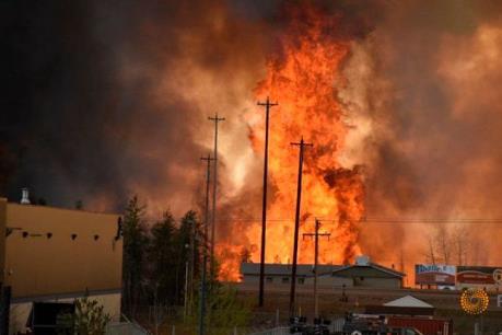 Ngành dầu mỏ Canada điêu đứng vì “giặc lửa”