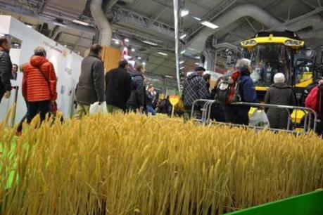 Xuất khẩu nông phẩm của Argentina tăng mạnh