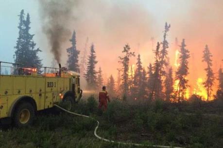 Tin mới nhất về cháy rừng ở Canada