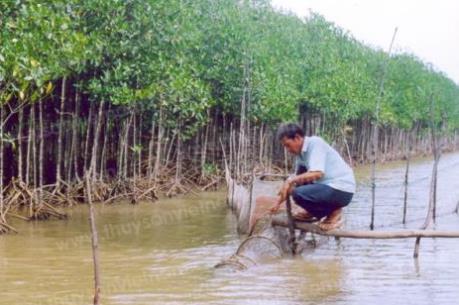 Những mô hình sản xuất thích ứng với biến đối khí hậu