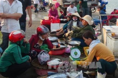 Vụ cá chết hàng loạt: Quảng Bình lập các điểm bán cá an toàn