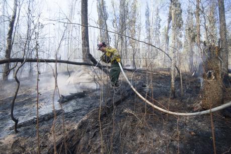 Cháy rừng đe dọa kéo lùi tăng trưởng kinh tế Canada