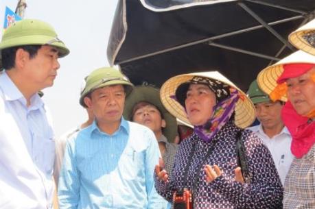 Thu mua hàng trăm tấn hải sản an toàn cho dân