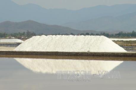 Diêm dân Khánh Hòa lại lao đao vì muối