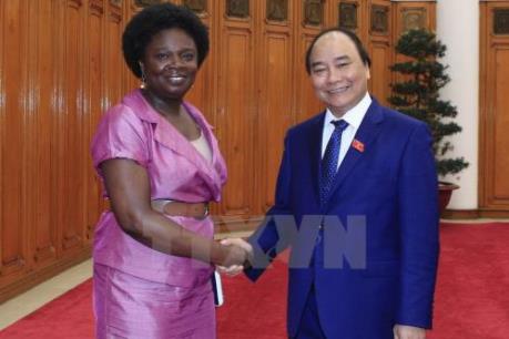 WB sẵn sàng hỗ trợ Việt Nam tiếp cận vốn ưu đãi để tái tạo năng lượng