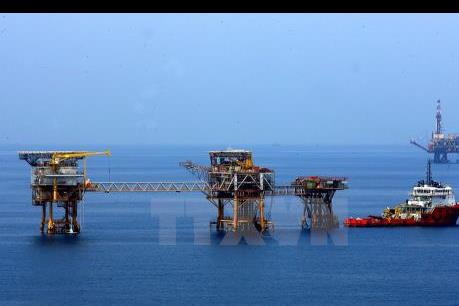 Đẩy mạnh liên kết cung cấp dịch vụ ngành dầu khí