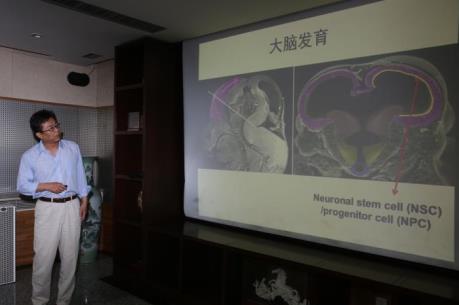 Bằng chứng mới về mối liên hệ giữa virus Zika và bệnh đầu nhỏ