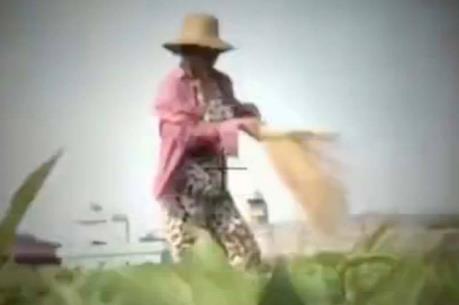 Vụ “Cây chổi quét rau”: Bộ Thông tin và Truyền thông vào cuộc