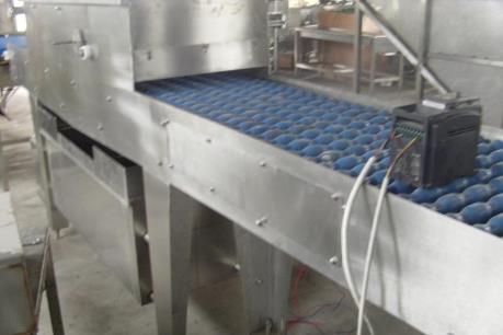 Khởi công nhà máy xử lý và chế biến trứng gia cầm công nghệ cao