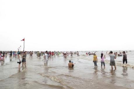 Triệu tập đối tượng đưa thông tin sai sự thật vụ cá chết ở biển Cồn Vành