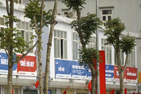 Đồng bộ biển quảng cáo đường Lê Trọng Tấn: Chỉ đạo mới của Thành phố