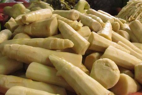 Quảng Nam phát hiện hơn 400kg măng tươi muối bằng chất cấm