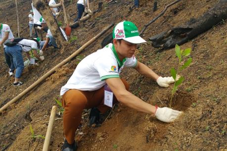 Honda Việt Nam trồng hơn 80 ha rừng tại Bắc Kạn