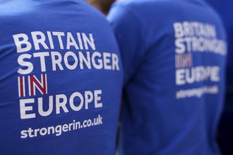 Anh khởi động chiến dịch thông tin lớn về cuộc trưng cầu ý dân "Brexit"