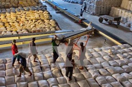 Xuất khẩu nông lâm thủy sản ước đạt 26,4 tỷ USD