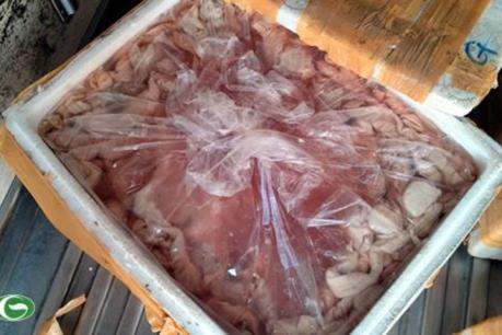 Hải Phòng phát hiện khối lượng lớn nội tạng động vật không rõ nguồn gốc