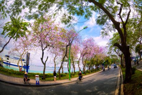 Hà Nội sẽ phát triển du lịch khu vực hồ Tây và sông Hồng